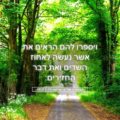 Picture 05 - הבשורה על־פי מרקוס 5:16 HEB - ויספרו להם הראים את אשר - Bible Verse Picture