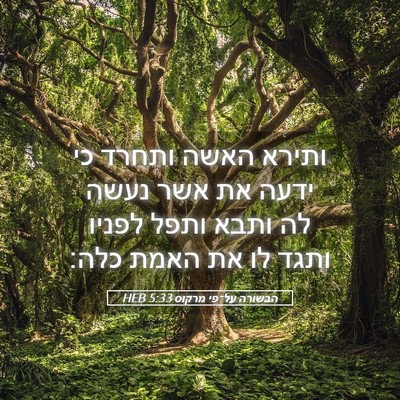 Picture 05 - הבשורה על־פי מרקוס 5:33 HEB - ותירא האשה ותחרד כי ידעה את - Bible Verse Picture