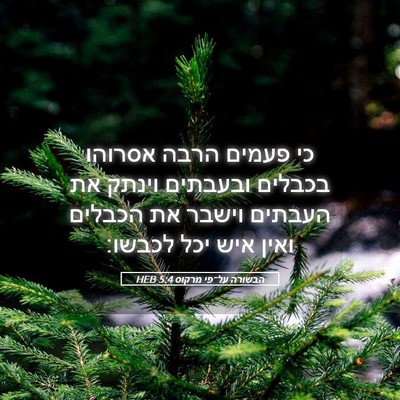 Picture 05 - הבשורה על־פי מרקוס 5:4 HEB - כי פעמים הרבה אסרוהו - Bible Verse Picture