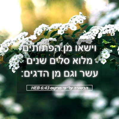 Picture 05 - הבשורה על־פי מרקוס 6:43 HEB - וישאו מן הפתותים מלוא סלים - Bible Verse Picture