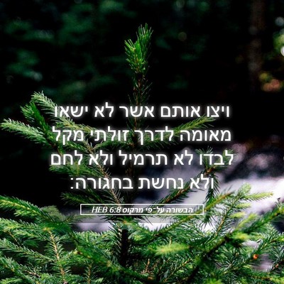 Picture 05 - הבשורה על־פי מרקוס 6:8 HEB - ויצו אותם אשר לא ישאו מאומה - Bible Verse Picture