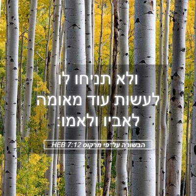 Picture 05 - הבשורה על־פי מרקוס 7:12 HEB - ולא תניחו לו לעשות עוד - Bible Verse Picture