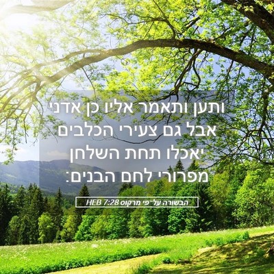 Picture 05 - הבשורה על־פי מרקוס 7:28 HEB - ותען ותאמר אליו כן אדני אבל - Bible Verse Picture