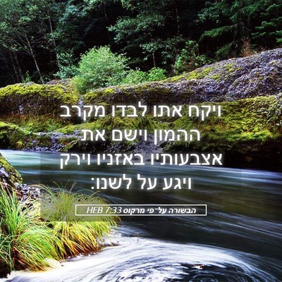 Picture 05 - הבשורה על־פי מרקוס 7:33 HEB - ויקח אתו לבדו מקרב ההמון - Bible Verse Picture