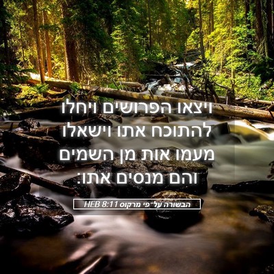 Picture 05 - הבשורה על־פי מרקוס 8:11 HEB - ויצאו הפרושים ויחלו להתוכח - Bible Verse Picture