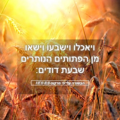 Picture 05 - הבשורה על־פי מרקוס 8:8 HEB - ויאכלו וישבעו וישאו מן - Bible Verse Picture