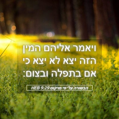 Picture 05 - הבשורה על־פי מרקוס 9:29 HEB - ויאמר אליהם המין הזה יצא לא - Bible Verse Picture