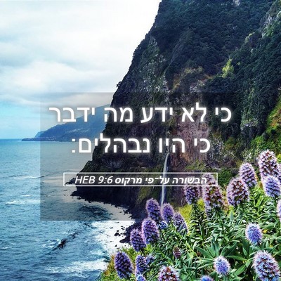 Picture 05 - הבשורה על־פי מרקוס 9:6 HEB - כי לא ידע מה ידבר כי היו - Bible Verse Picture