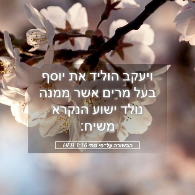 Picture 05 - הבשורה על־פי מתי 1:16 HEB - ויעקב הוליד את יוסף בעל - Bible Verse Picture