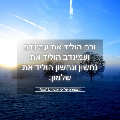 Picture 05 - הבשורה על־פי מתי 1:4 HEB - ורם הוליד את עמינדב - Bible Verse Picture