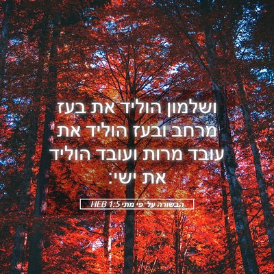 Picture 05 - הבשורה על־פי מתי 1:5 HEB - ושלמון הוליד את בעז מרחב - Bible Verse Picture