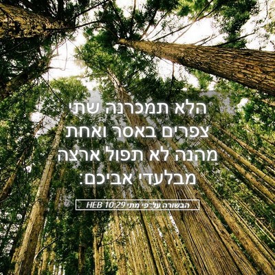 Picture 05 - הבשורה על־פי מתי 10:29 HEB - הלא תמכרנה שתי צפרים באסר - Bible Verse Picture