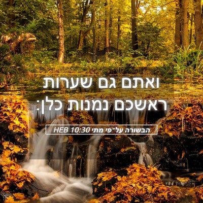 Picture 05 - הבשורה על־פי מתי 10:30 HEB - ואתם גם שערות ראשכם נמנות - Bible Verse Picture