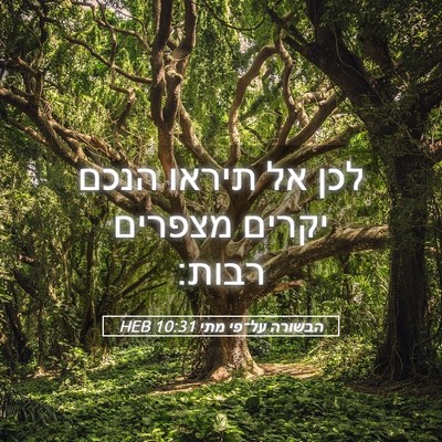 Picture 05 - הבשורה על־פי מתי 10:31 HEB - לכן אל תיראו הנכם יקרים - Bible Verse Picture