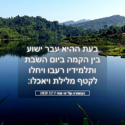 Picture 05 - הבשורה על־פי מתי 12:1 HEB - בעת ההיא עבר ישוע בין הקמה - Bible Verse Picture