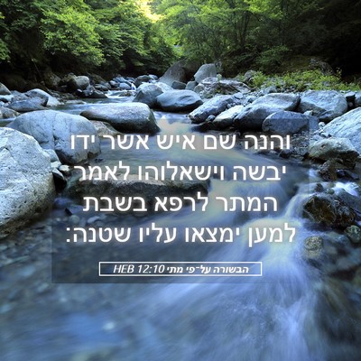 Picture 05 - הבשורה על־פי מתי 12:10 HEB - והנה שם איש אשר ידו יבשה - Bible Verse Picture