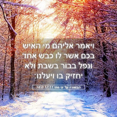 Picture 05 - הבשורה על־פי מתי 12:11 HEB - ויאמר אליהם מי האיש בכם אשר - Bible Verse Picture