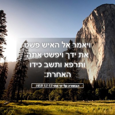 Picture 05 - הבשורה על־פי מתי 12:13 HEB - ויאמר אל האיש פשט את ידך - Bible Verse Picture