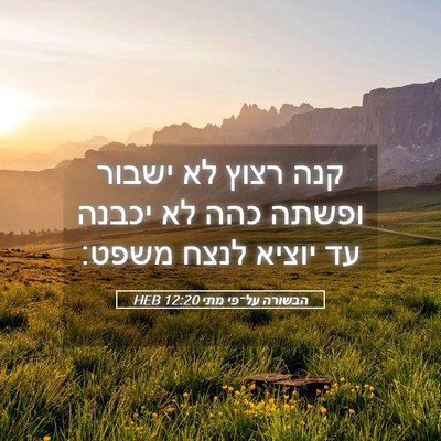 Picture 05 - הבשורה על־פי מתי 12:20 HEB - קנה רצוץ לא ישבור ופשתה כהה - Bible Verse Picture