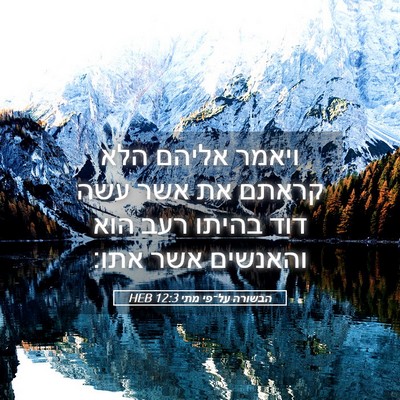 Picture 05 - הבשורה על־פי מתי 12:3 HEB - ויאמר אליהם הלא קראתם את - Bible Verse Picture
