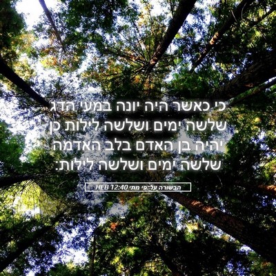 Picture 05 - הבשורה על־פי מתי 12:40 HEB - כי כאשר היה יונה במעי הדג - Bible Verse Picture