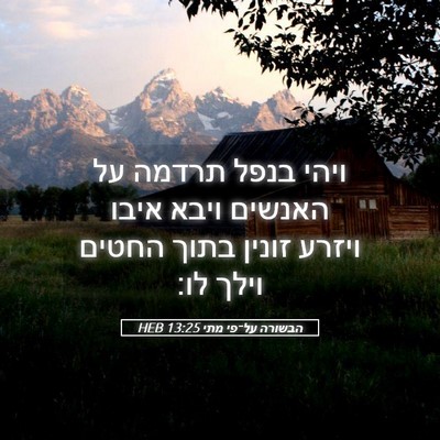 Picture 05 - הבשורה על־פי מתי 13:25 HEB - ויהי בנפל תרדמה על האנשים - Bible Verse Picture