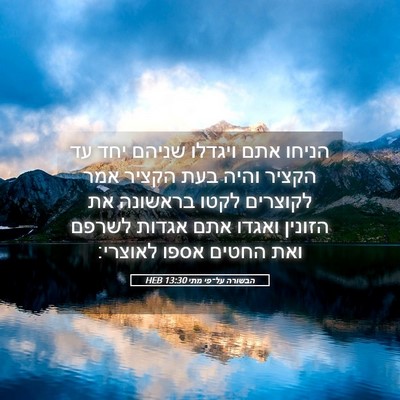 Picture 05 - הבשורה על־פי מתי 13:30 HEB - הניחו אתם ויגדלו שניהם יחד - Bible Verse Picture
