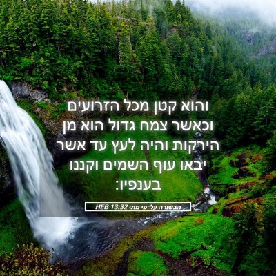 Picture 05 - הבשורה על־פי מתי 13:32 HEB - והוא קטן מכל הזרועים וכאשר - Bible Verse Picture