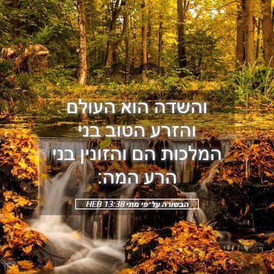 Picture 05 - הבשורה על־פי מתי 13:38 HEB - והשדה הוא העולם והזרע הטוב - Bible Verse Picture