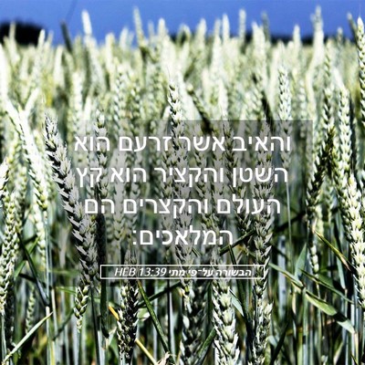 Picture 05 - הבשורה על־פי מתי 13:39 HEB - והאיב אשר זרעם הוא השטן - Bible Verse Picture