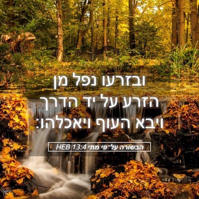 Picture 05 - הבשורה על־פי מתי 13:4 HEB - ובזרעו נפל מן הזרע על יד - Bible Verse Picture
