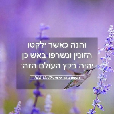 Picture 05 - הבשורה על־פי מתי 13:40 HEB - והנה כאשר ילקטו הזונין - Bible Verse Picture