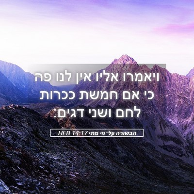Picture 05 - הבשורה על־פי מתי 14:17 HEB - ויאמרו אליו אין לנו פה כי - Bible Verse Picture