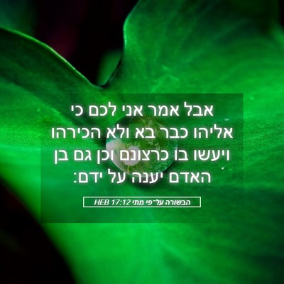 Picture 05 - הבשורה על־פי מתי 17:12 HEB - אבל אמר אני לכם כי אליהו - Bible Verse Picture