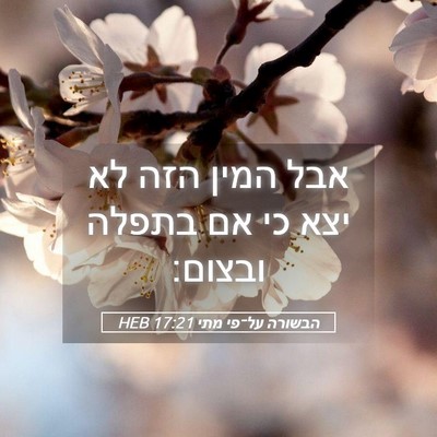 Picture 05 - הבשורה על־פי מתי 17:21 HEB - אבל המין הזה לא יצא כי אם - Bible Verse Picture