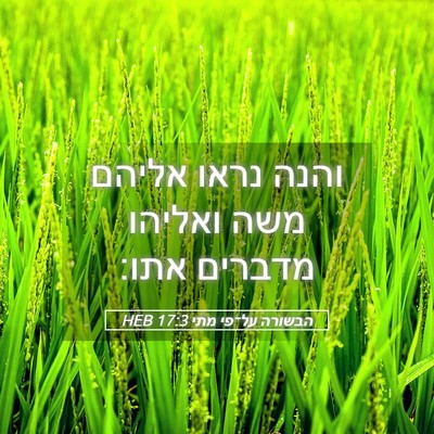 Picture 05 - הבשורה על־פי מתי 17:3 HEB - והנה נראו אליהם משה ואליהו - Bible Verse Picture