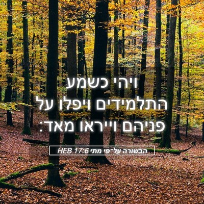 Picture 05 - הבשורה על־פי מתי 17:6 HEB - ויהי כשמע התלמידים ויפלו - Bible Verse Picture