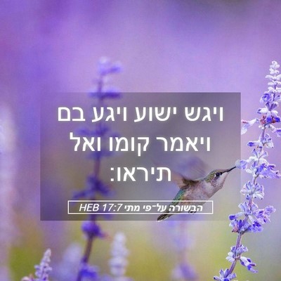 Picture 05 - הבשורה על־פי מתי 17:7 HEB - ויגש ישוע ויגע בם ויאמר - Bible Verse Picture