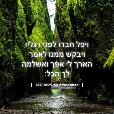 Picture 05 - הבשורה על־פי מתי 18:29 HEB - ויפל חברו לפני רגליו ויבקש - Bible Verse Picture