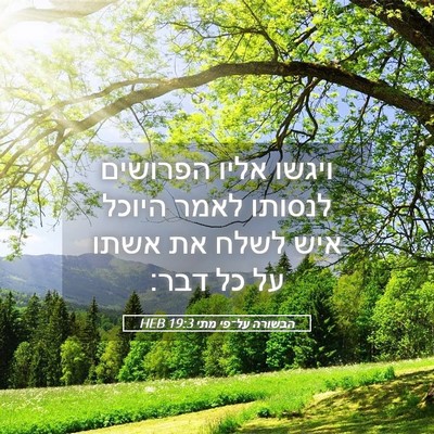 Picture 05 - הבשורה על־פי מתי 19:3 HEB - ויגשו אליו הפרושים לנסותו - Bible Verse Picture