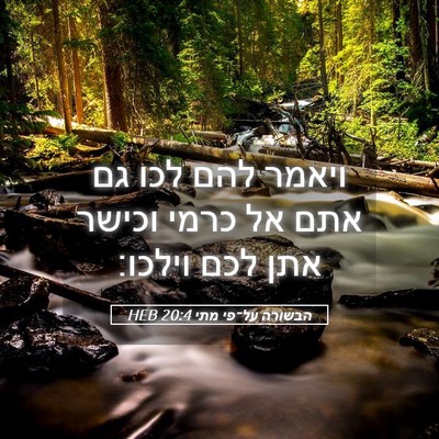 Picture 05 - הבשורה על־פי מתי 20:4 HEB - ויאמר להם לכו גם אתם אל - Bible Verse Picture
