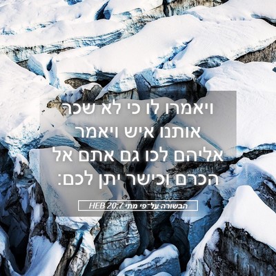 Picture 05 - הבשורה על־פי מתי 20:7 HEB - ויאמרו לו כי לא שכר אותנו - Bible Verse Picture