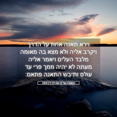 Picture 05 - הבשורה על־פי מתי 21:19 HEB - וירא תאנה אחת על הדרך ויקרב - Bible Verse Picture