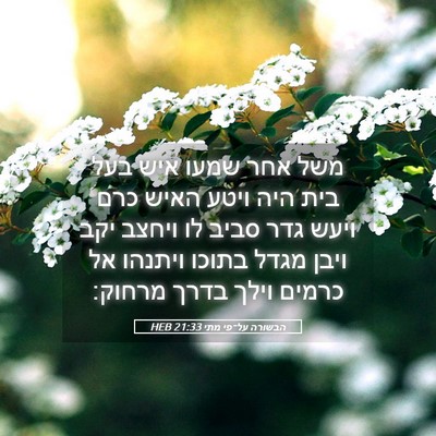Picture 05 - הבשורה על־פי מתי 21:33 HEB - משל אחר שמעו איש בעל בית - Bible Verse Picture