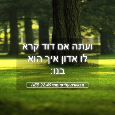 Picture 05 - הבשורה על־פי מתי 22:45 HEB - ועתה אם דוד קרא לו אדון איך - Bible Verse Picture