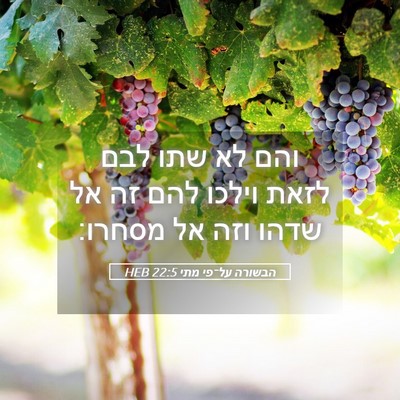 Picture 05 - הבשורה על־פי מתי 22:5 HEB - והם לא שתו לבם לזאת וילכו - Bible Verse Picture