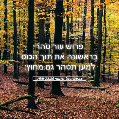 Picture 05 - הבשורה על־פי מתי 23:26 HEB - פרוש עור טהר בראשונה את תוך - Bible Verse Picture