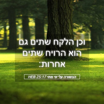 Picture 05 - הבשורה על־פי מתי 25:17 HEB - וכן הלקח שתים גם הוא הרויח - Bible Verse Picture