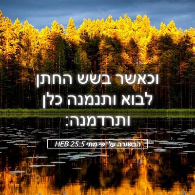 Picture 05 - הבשורה על־פי מתי 25:5 HEB - וכאשר בשש החתן לבוא ותנמנה - Bible Verse Picture