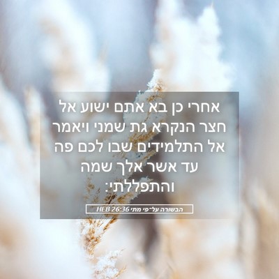 Picture 05 - הבשורה על־פי מתי 26:36 HEB - אחרי כן בא אתם ישוע אל חצר - Bible Verse Picture